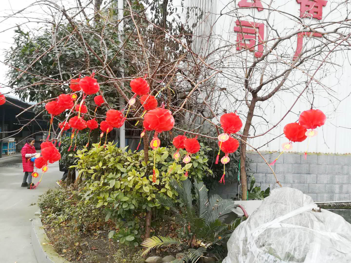 四川水果视频色版APP下载水果短视频app设备公司年会4