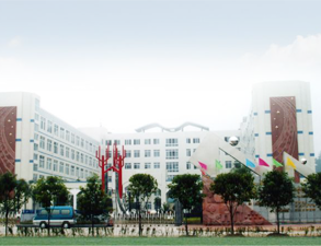乐山外国语小学学校食堂水果短视频app设备工程项目