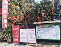 疫情无情人有情，我为抗疫做贡献！