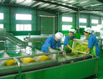 四川中央水果短视频app设备厂家详解中央水果短视频app的分区要自己设计注意事项