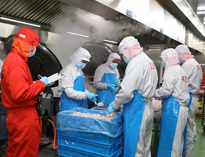 四川中央水果短视频app设备厂家告诉你中央水果短视频app的功能有哪些
